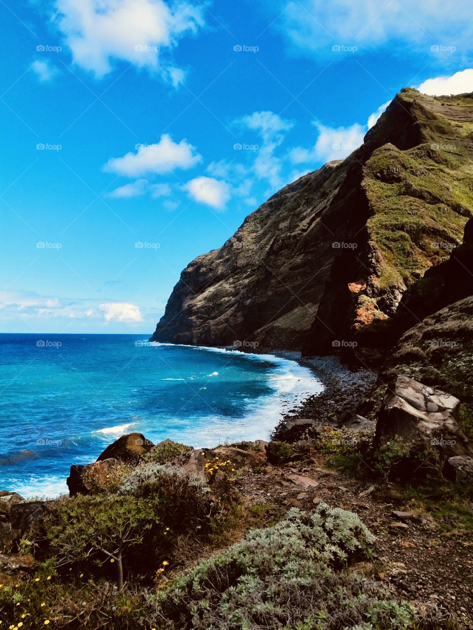 Landscape near the sea, Portugal