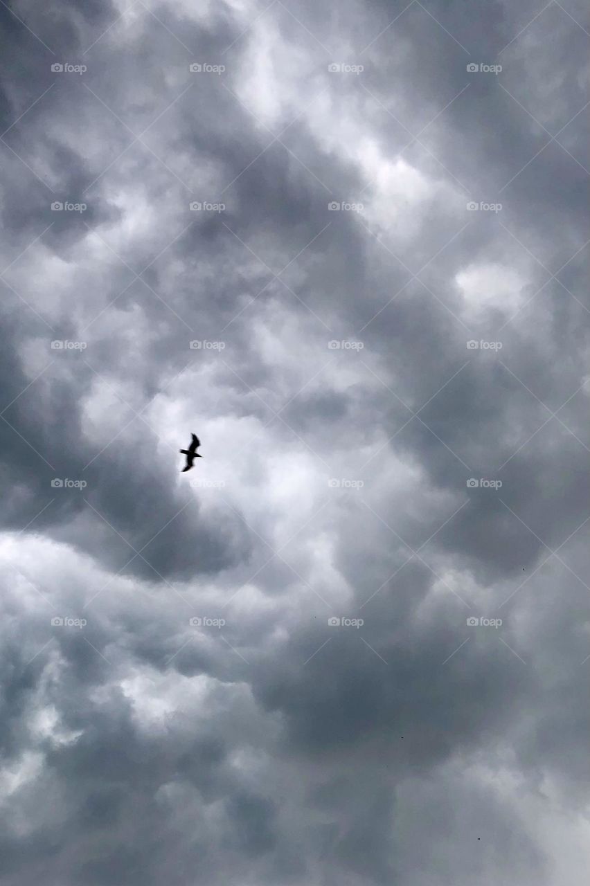 Calm before the storm 