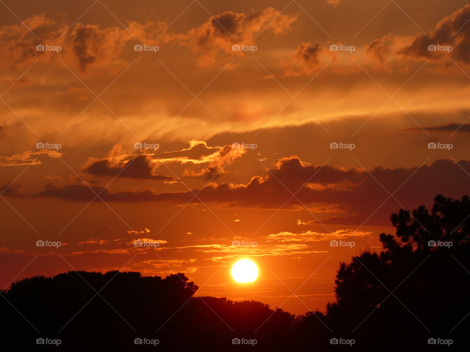 
The big orange ball slowly going down and down and it sets into the horizon making the  sky absolutely stunning. 
