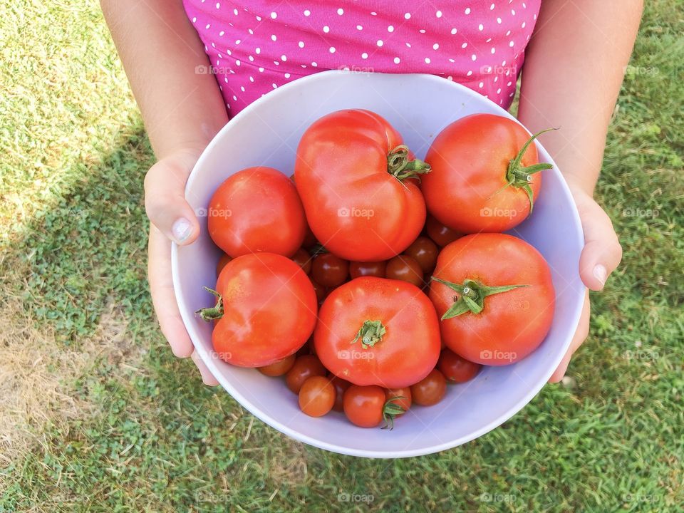 Tomato season