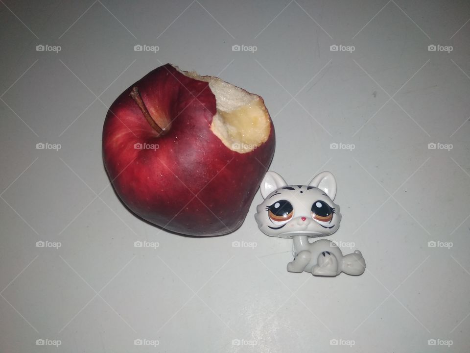 My poisoned pet and the sweet red apple. The witch gave me this apple but my pet ate it first. She turned into a toy. lol 😂