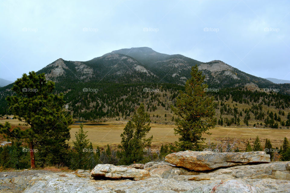 RMNP