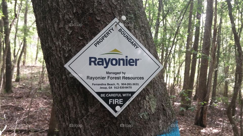 Rayonier Boundary sign