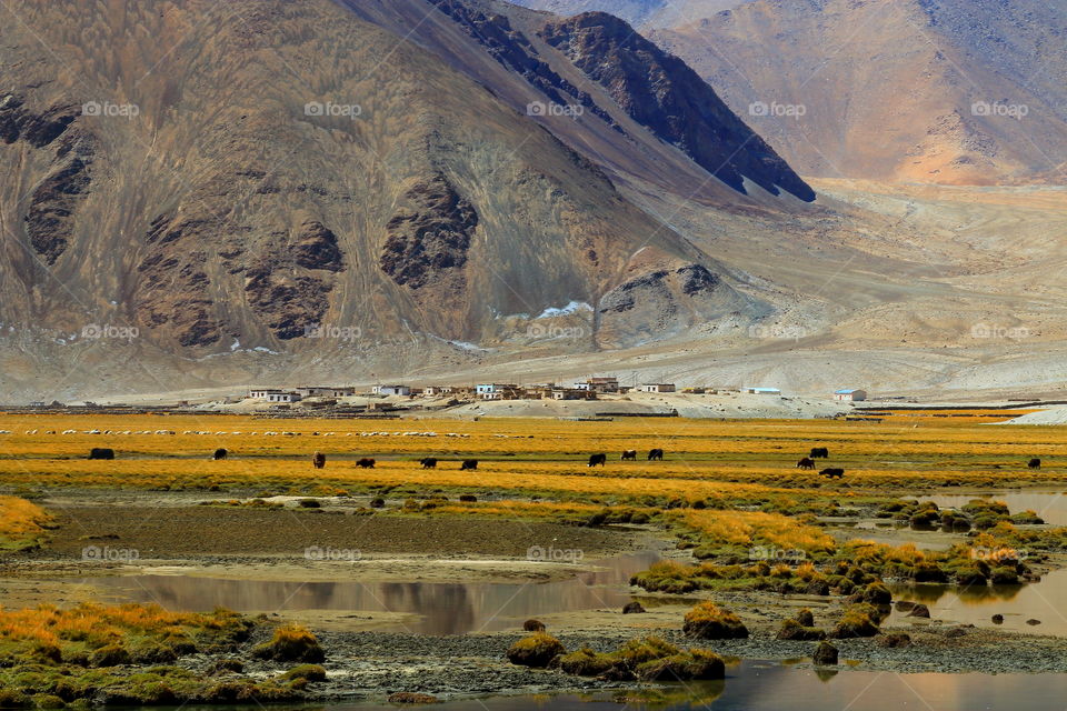 does that look like heaven? well that certainly the heaven on Earth i.e. Jammu and Kashmir in India