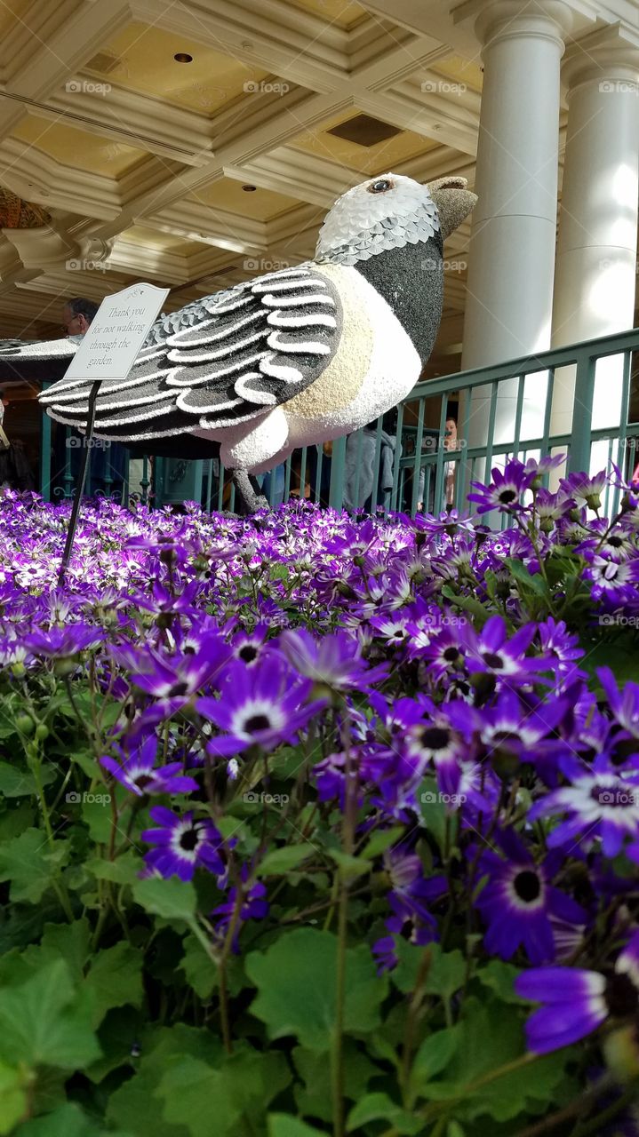 Flowers and a bird