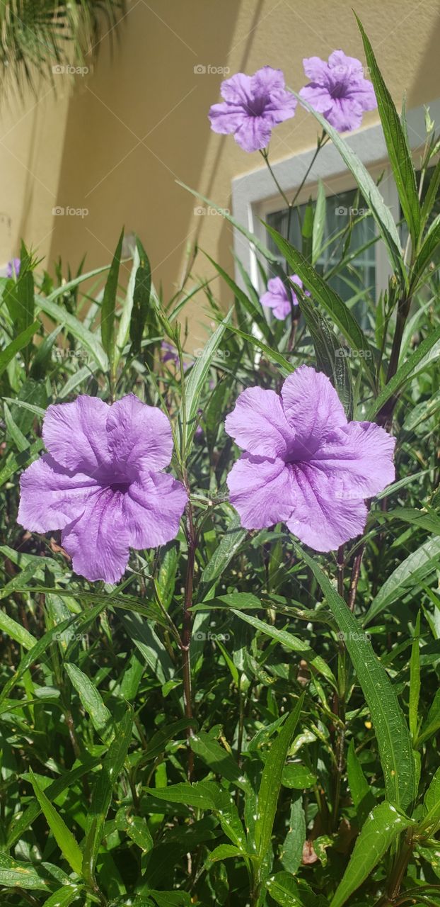 summer in full effect