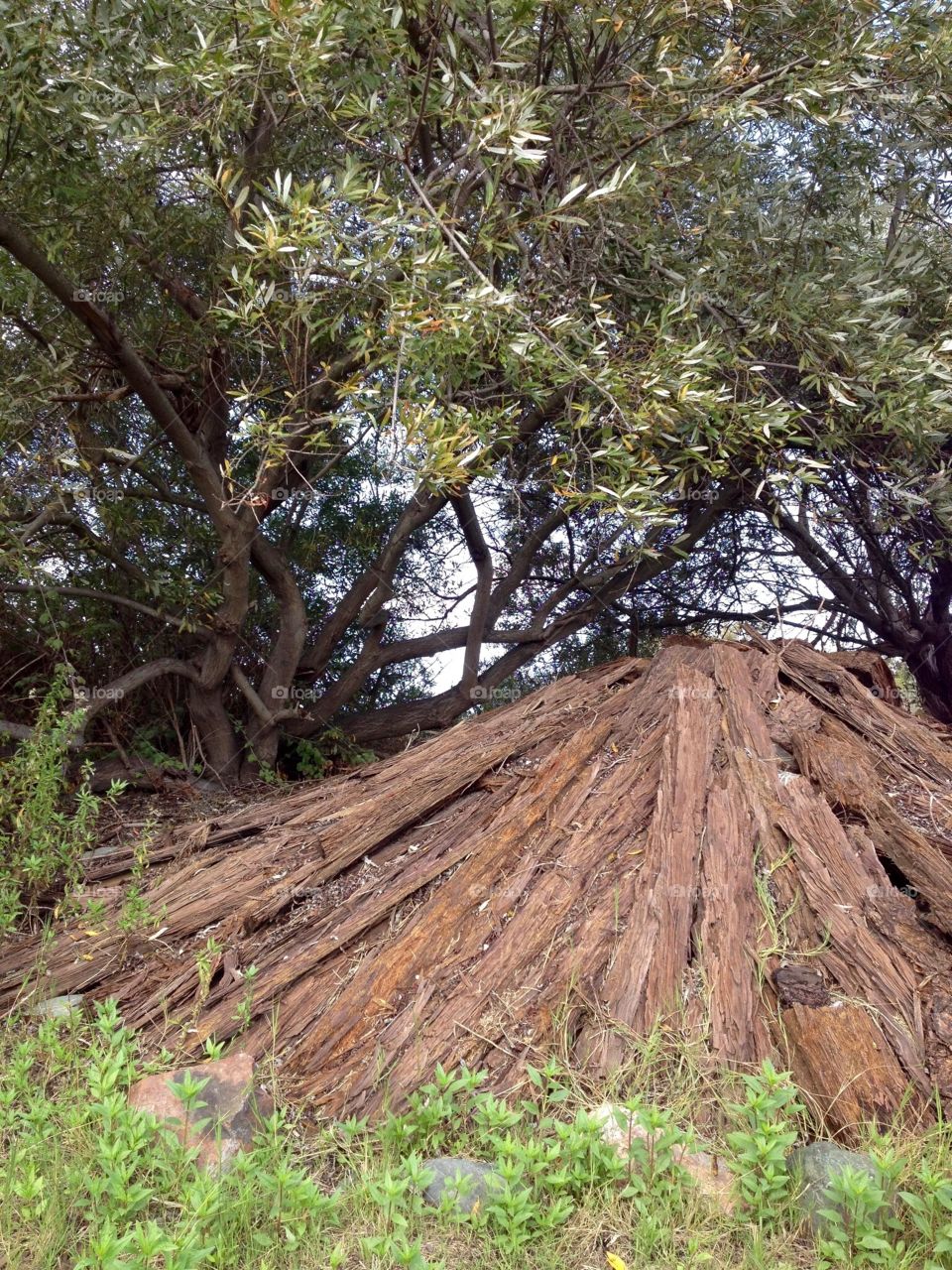 Man made wood cave