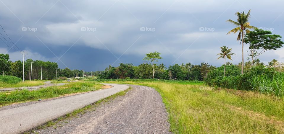 the long and winding road