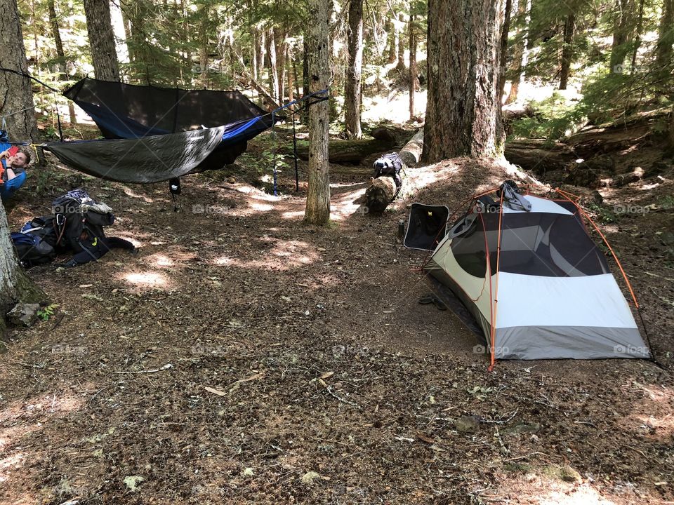 Camping in Oregon on the McKenzie river trail with the Rei half dome tent   With the Alite Monarch Butterfly Chair