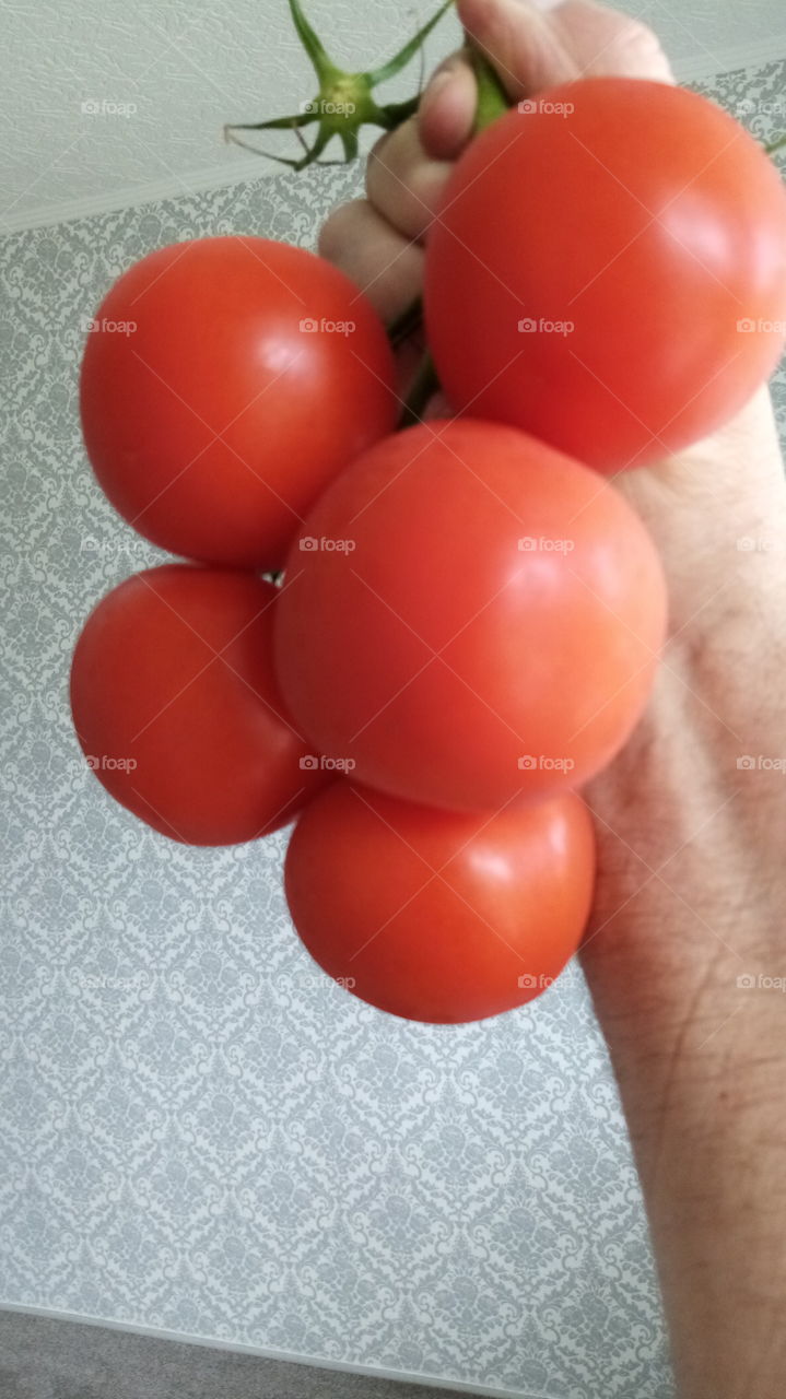 Tomaten