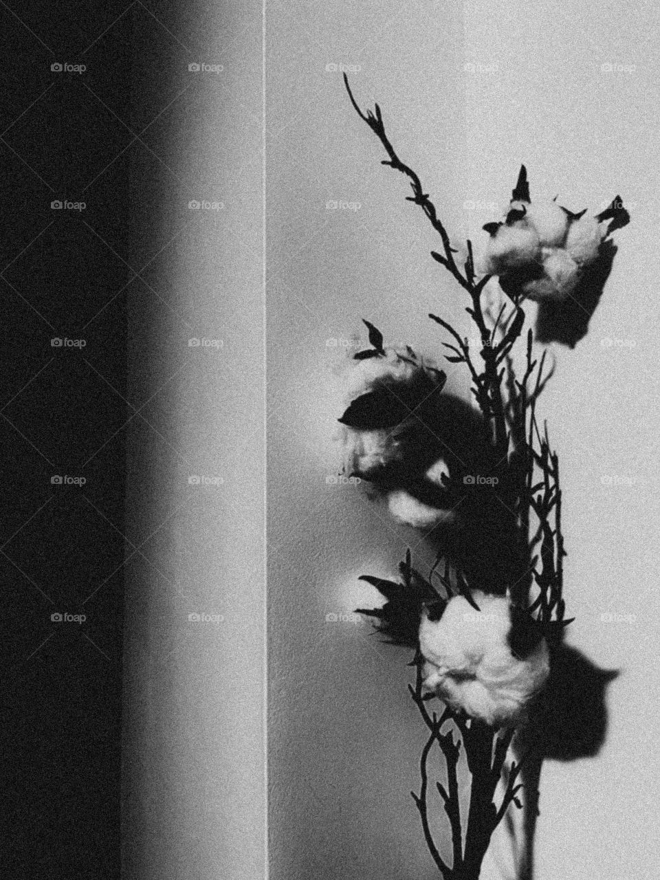 In the shadows - a place many are afraid to be, but the one place to see the big picture in life with no distractions. 