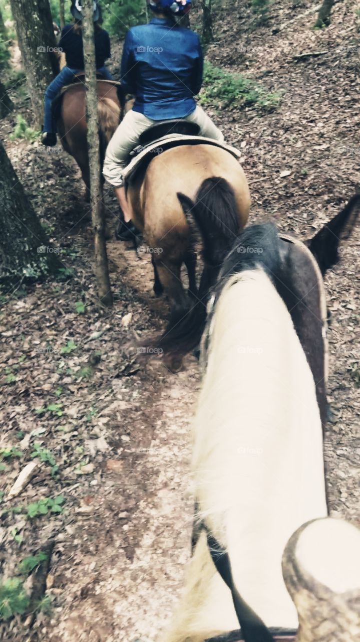 Memorable Horseback Ride