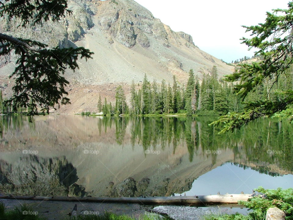 The Iron Bog. serene iron bog lake in Idaho.