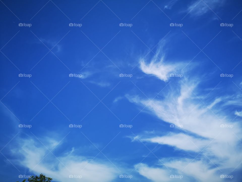 Sky