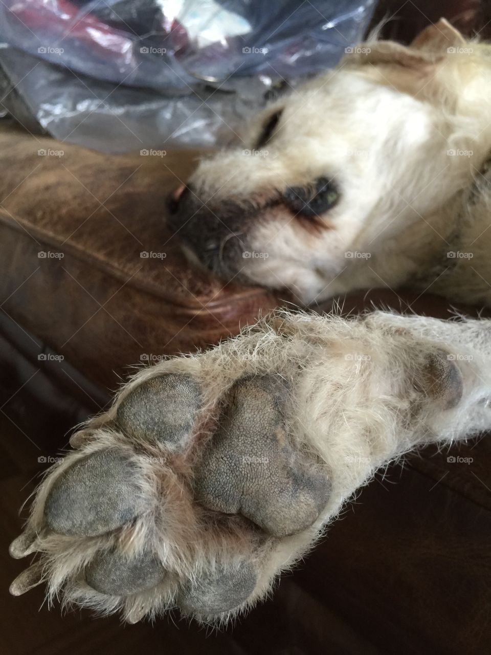 Give me the hand.... Give me the hand! 