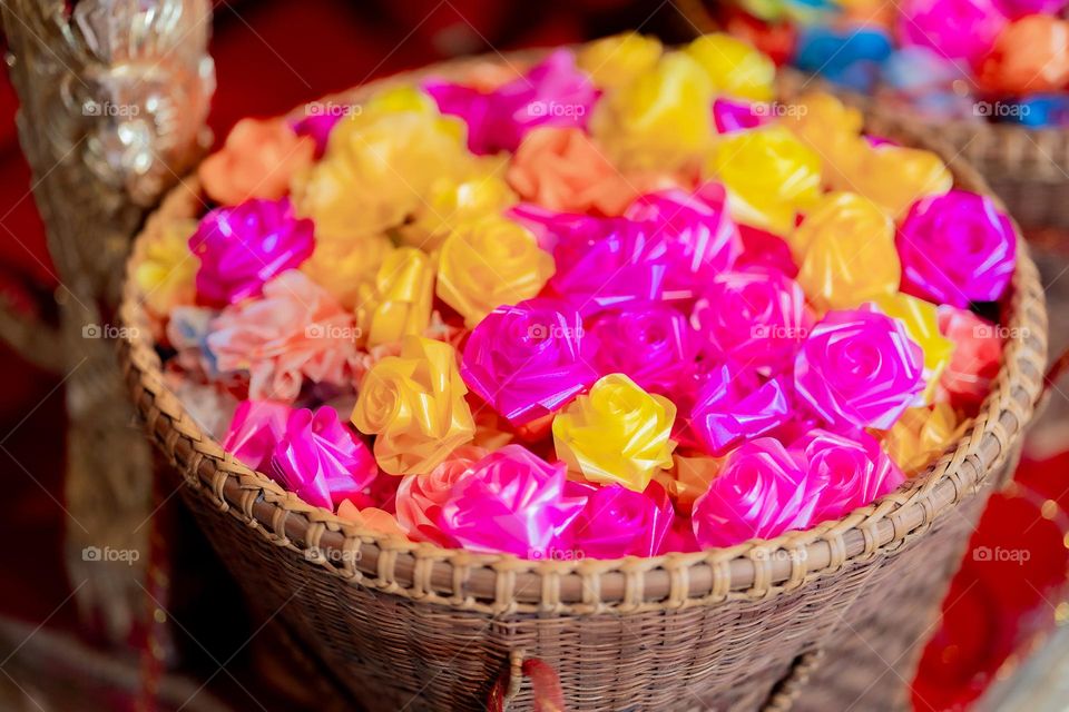 📸 Capture the Power of Complementary Colors 