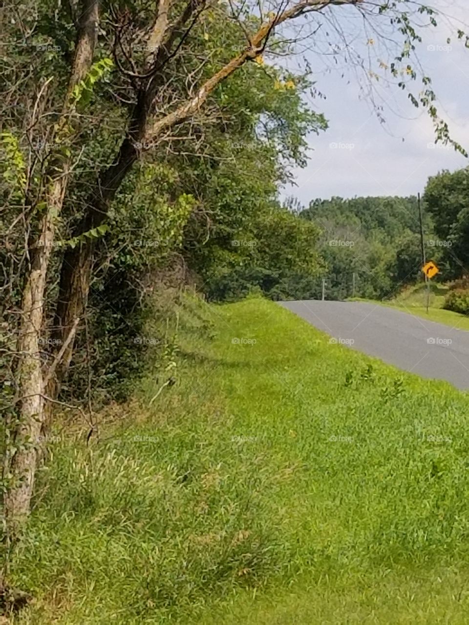 Curved country road