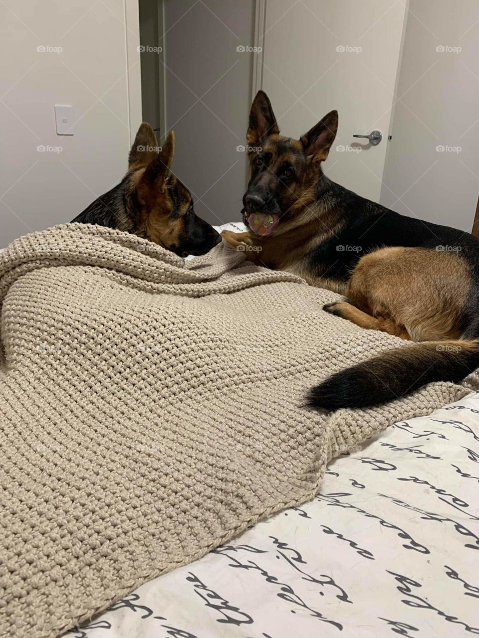 Dad... yell at her!!! we've been waiting ages