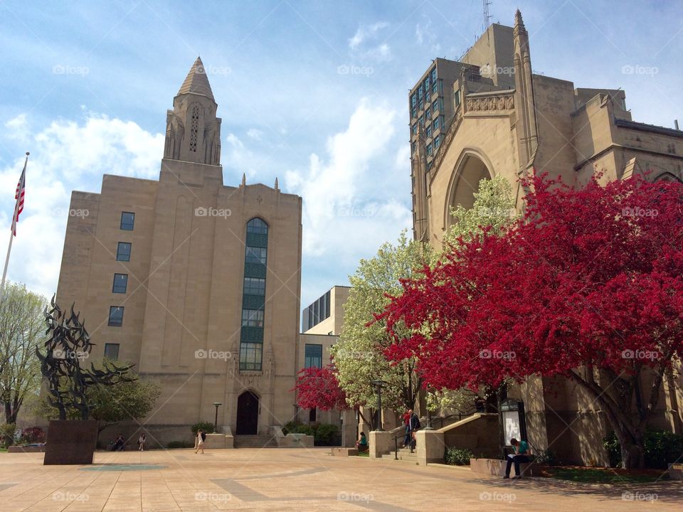 Springtime at Boston University 