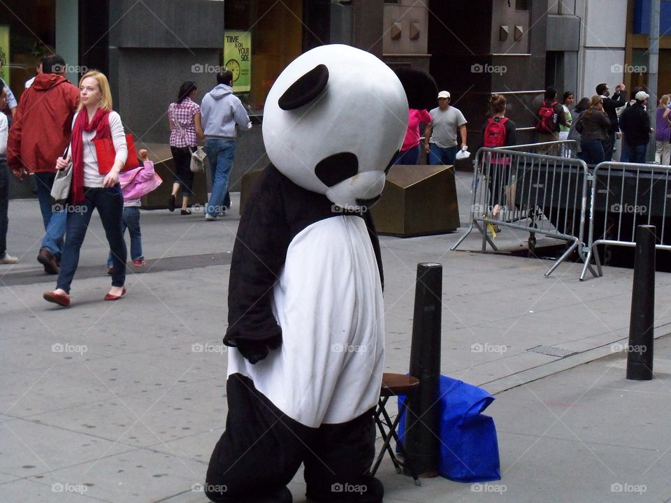 sad looking panda walking around Wall street