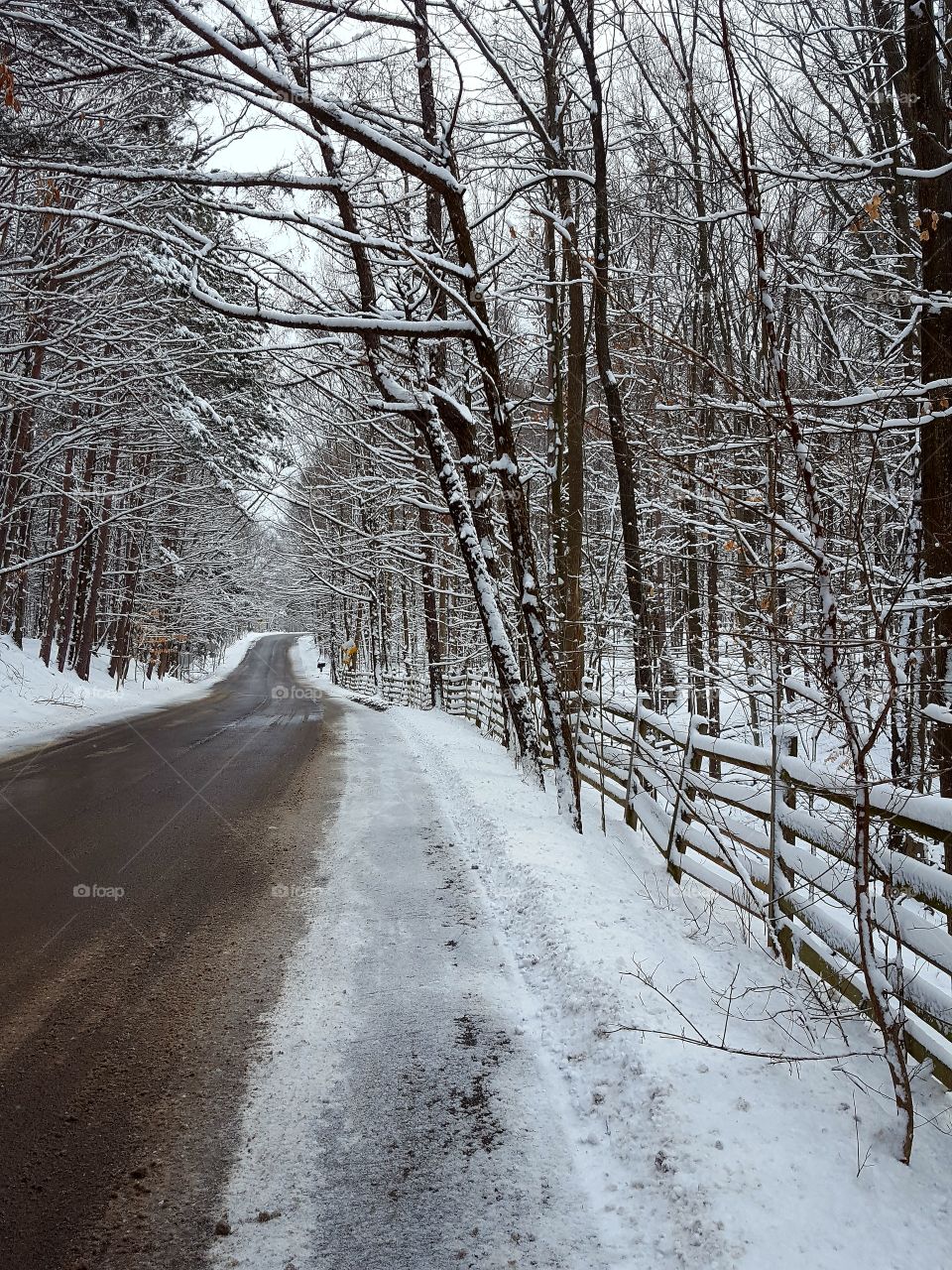 country road in winter