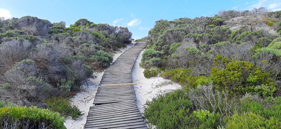 Dune walkway