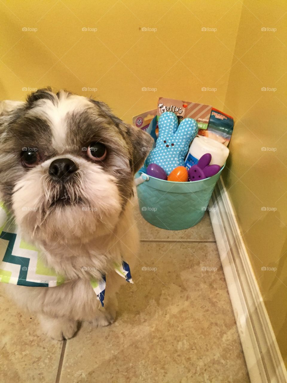 McCoy can't wait to get into his Easter basket. 