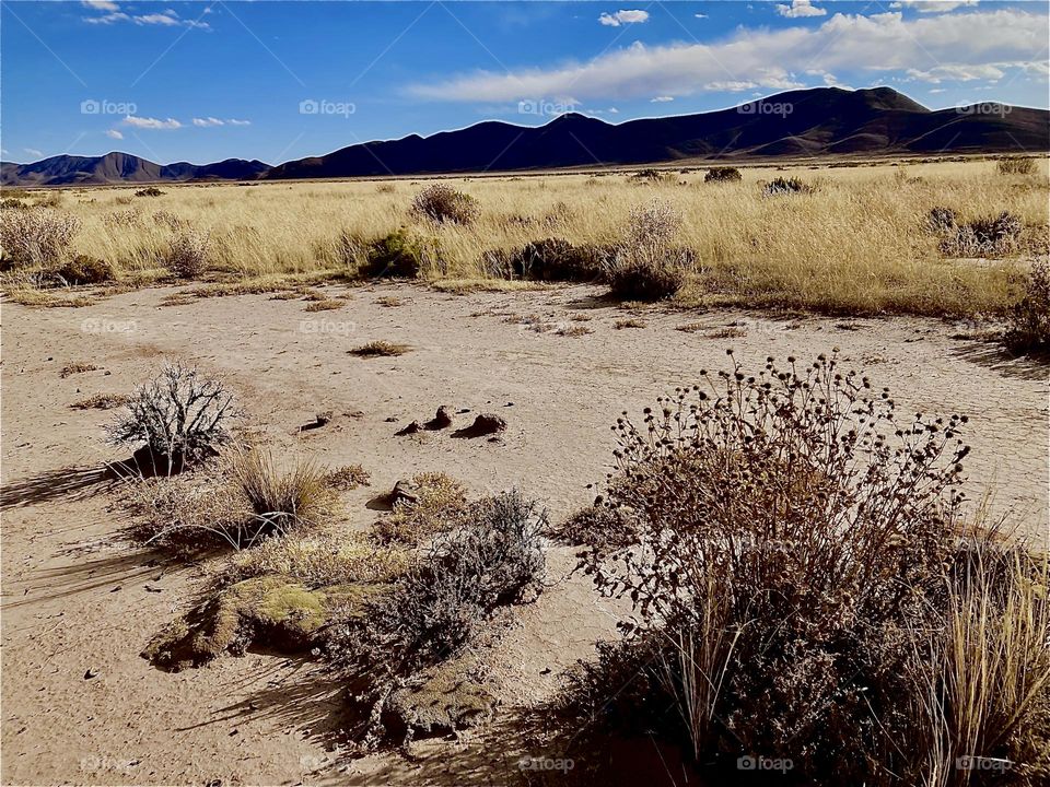 This is a view of the desert turning into sandy beach at the shore of the “Uniyuni Salt Lake” in “Bolivia” in “Central America”. 2022. Hypnotic Productions