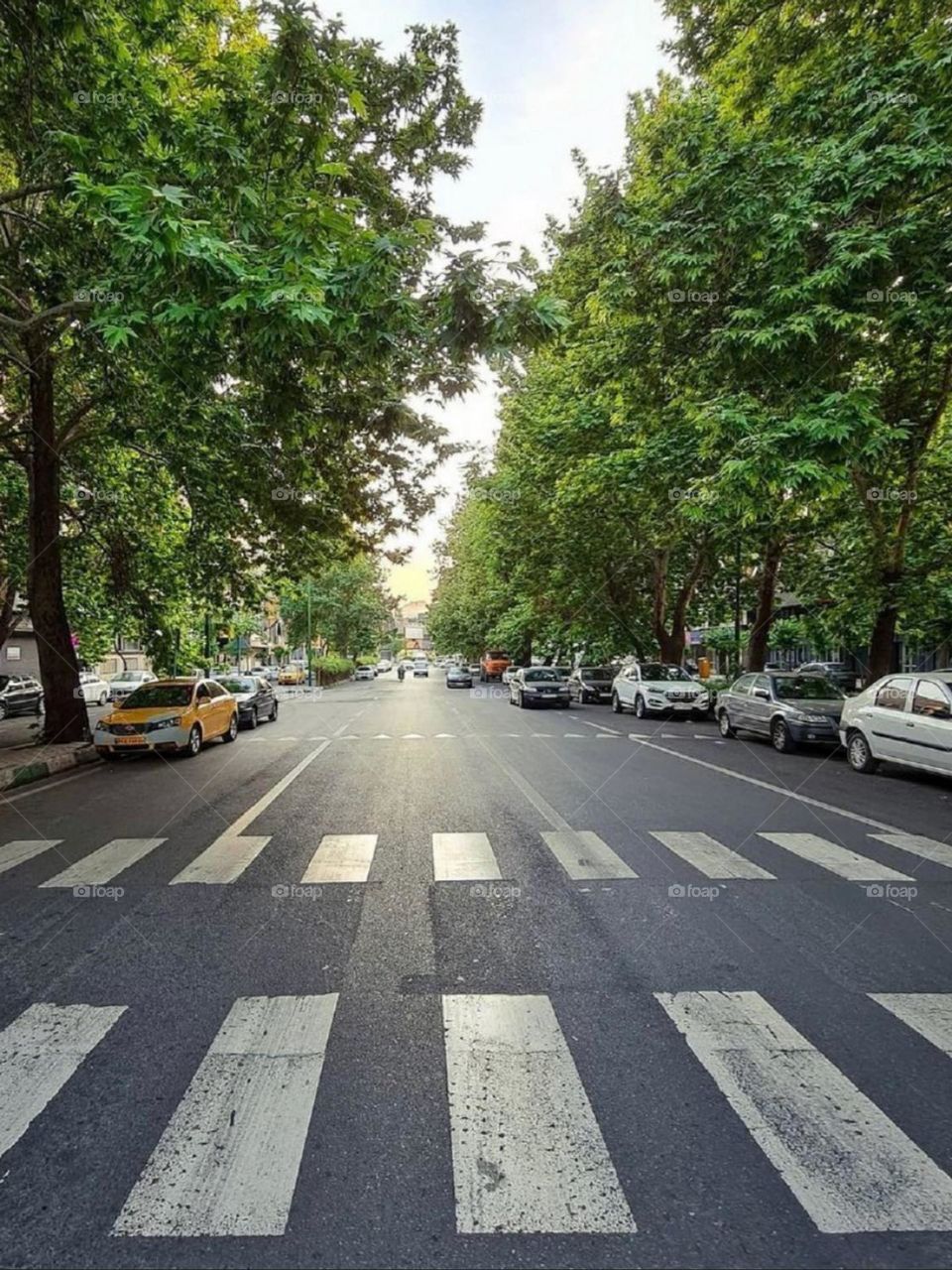 Early in the morning, the street is empty and cars that have not woken up yet