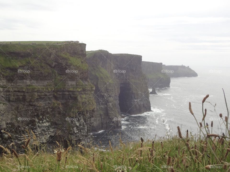 Cliffs in summer