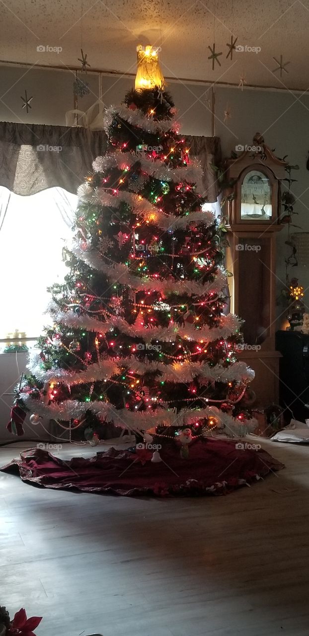 our Christmas tree