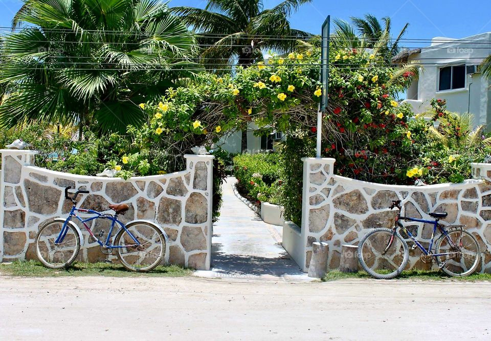 Enter. Personal paradise. Come in.