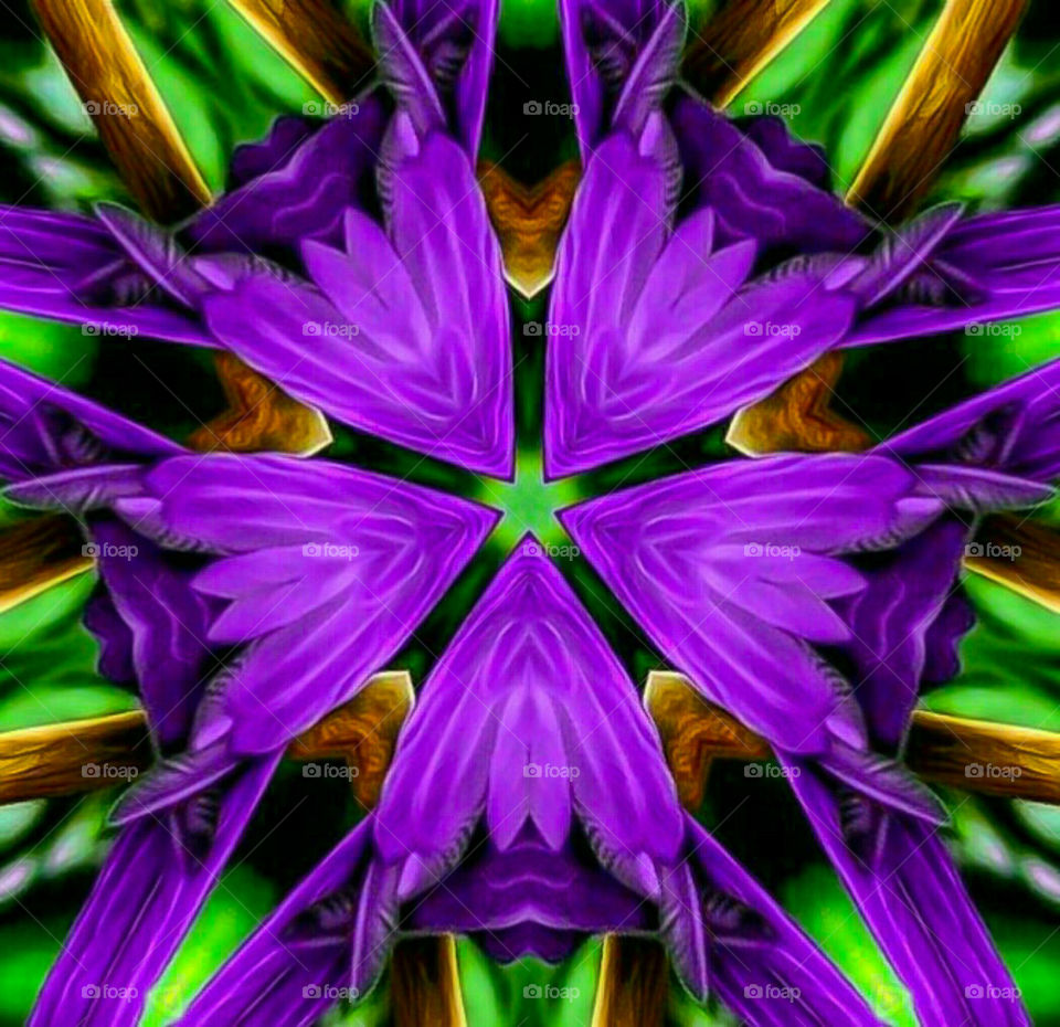 Floral pattern of purple flower background