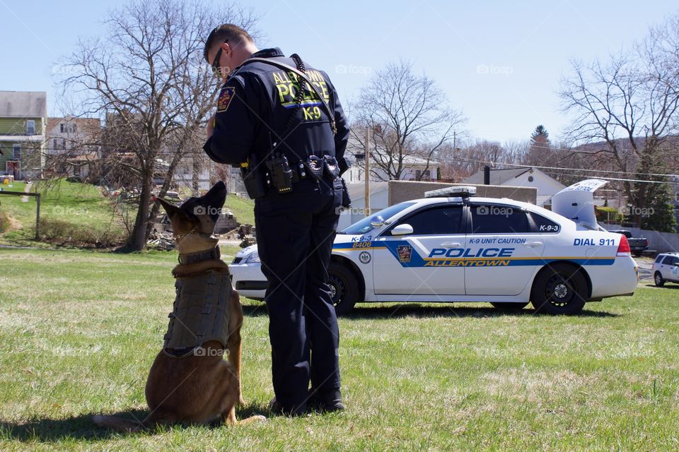 Police officer and his K9 demonstrating drug sniffing and other commands