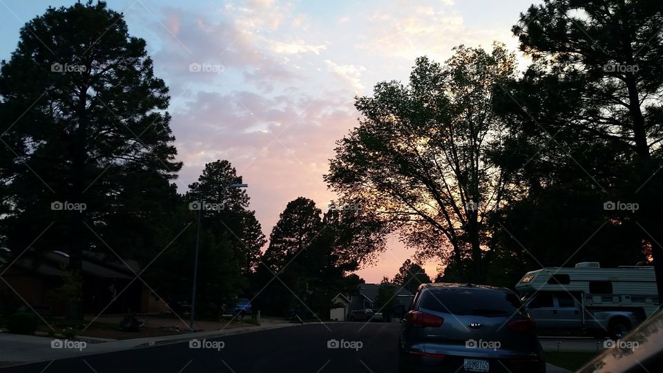 Gorgeous sunset amidst cloudy skies and pine trees in Flagstaff, Arizona