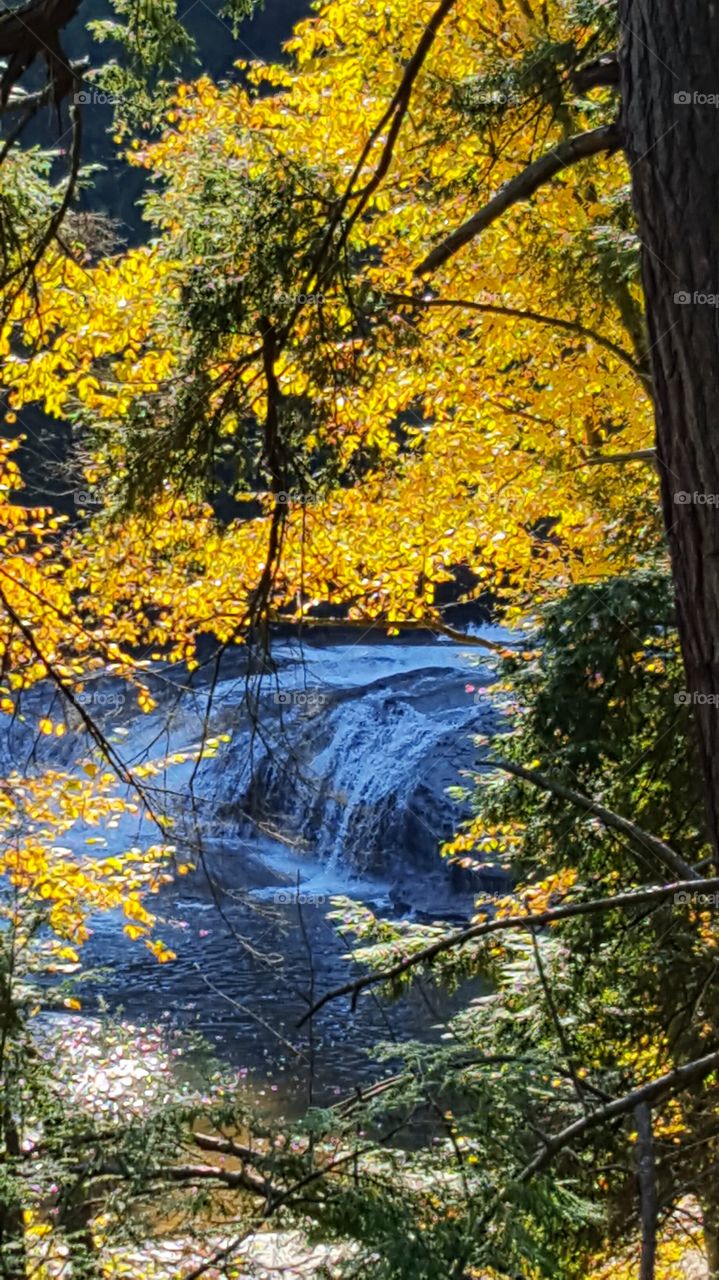 my view of the waterfall