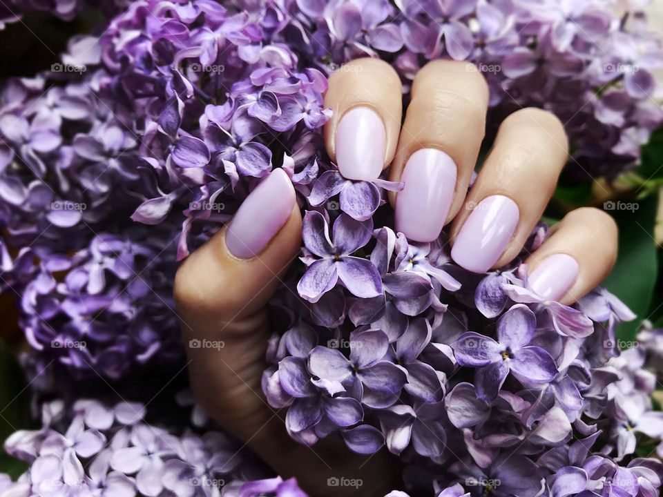 Purple manicure 