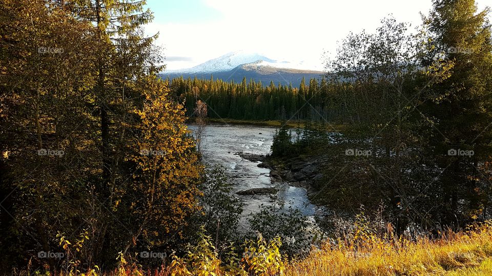 Autumn by the river.