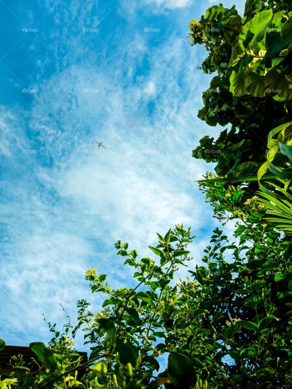 blue sky with nature