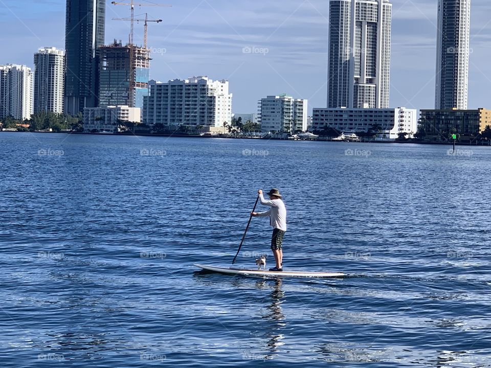 Paddle boarding the dog