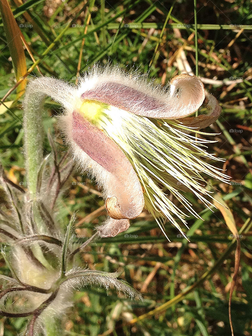 beach sweden sommar summer by elluca