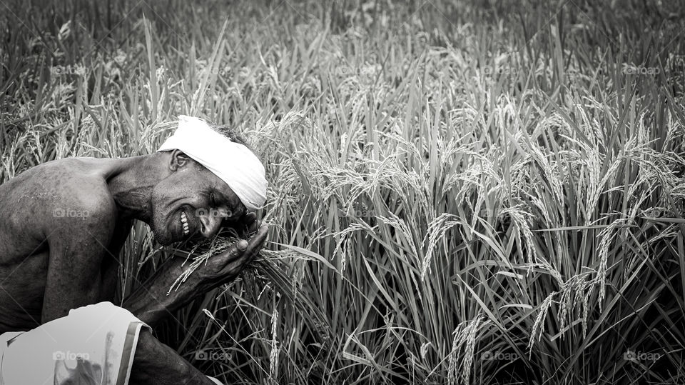 A soulful story of a farmer who really happy for his farm gave good harvest this year.. Value for his hardwork. #support agriculture