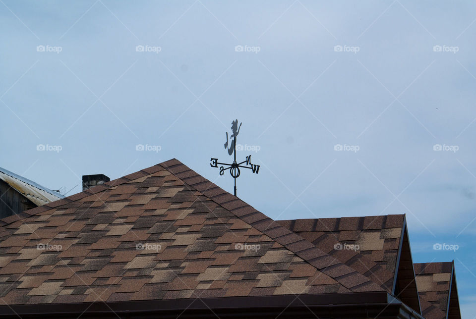 Roof and Vane