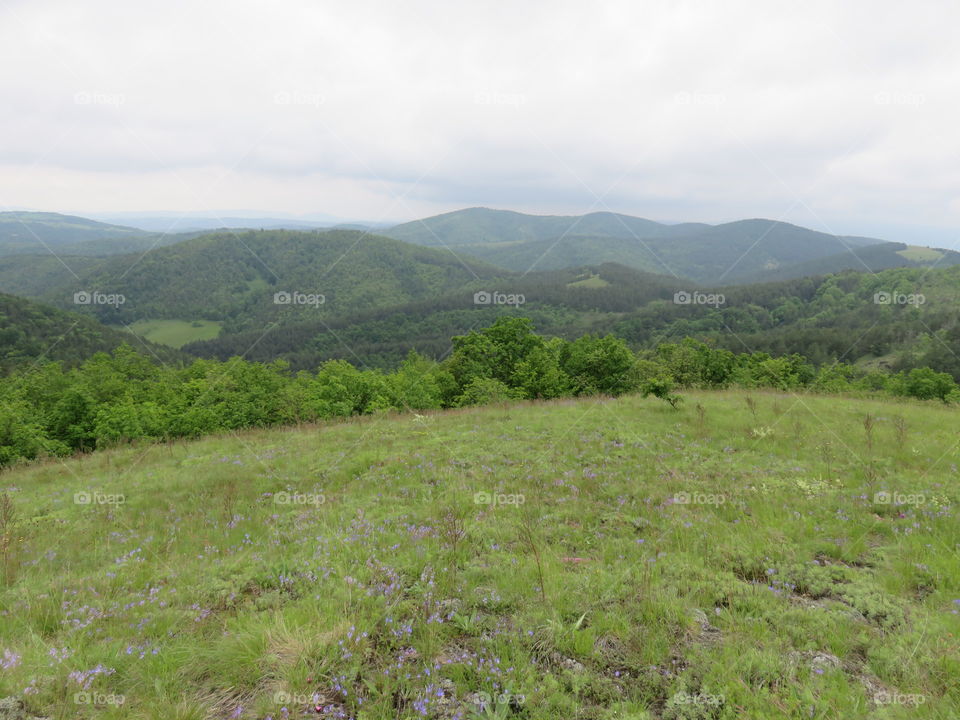 Pasture with distant mountain range