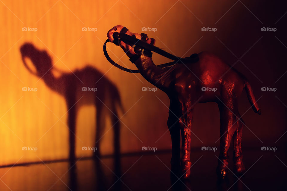 Orange shadow. camel toy