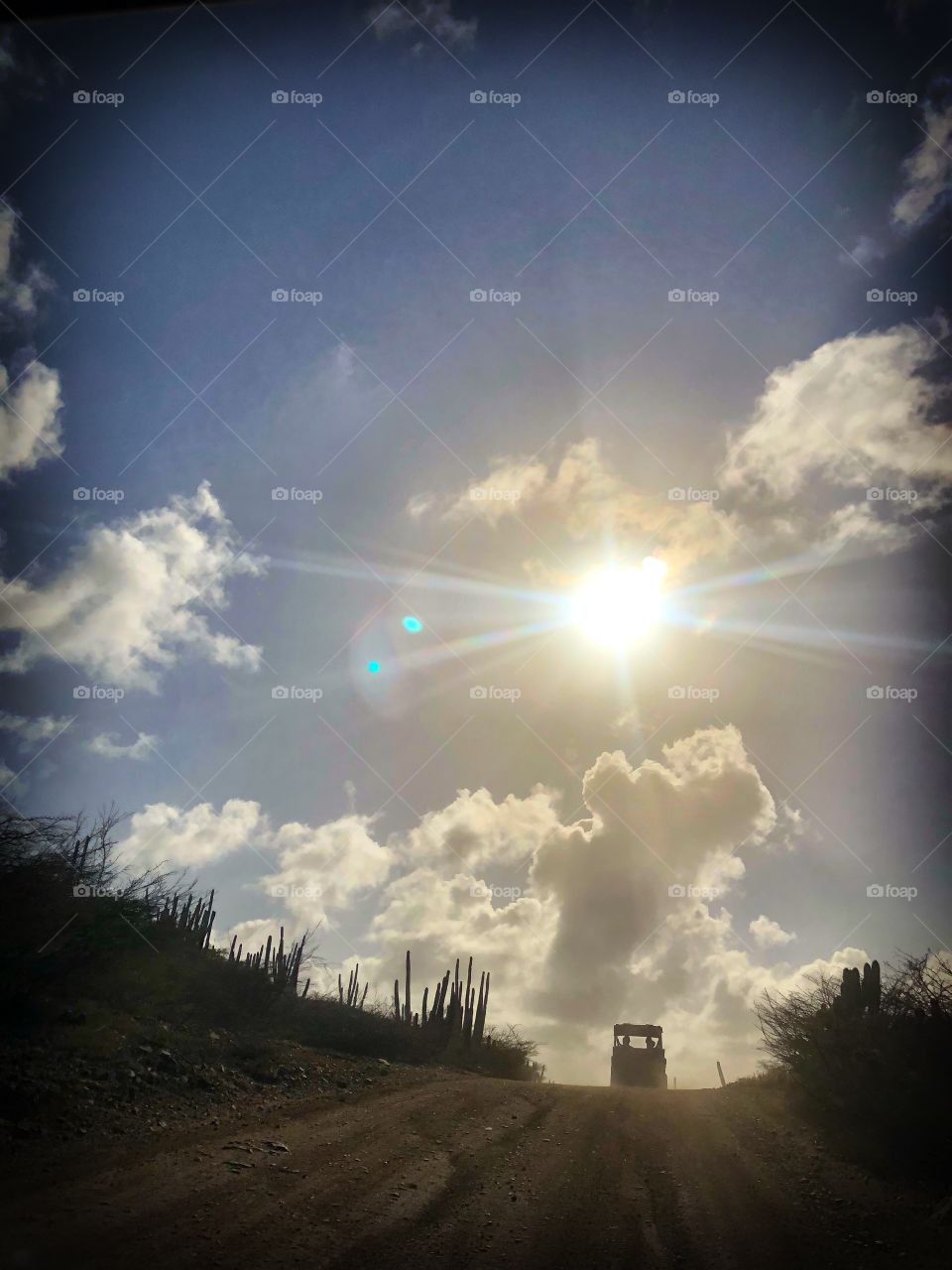 UTV riding down the road in Aruba during UTV excursion with Carnival Sunshine Cruise 