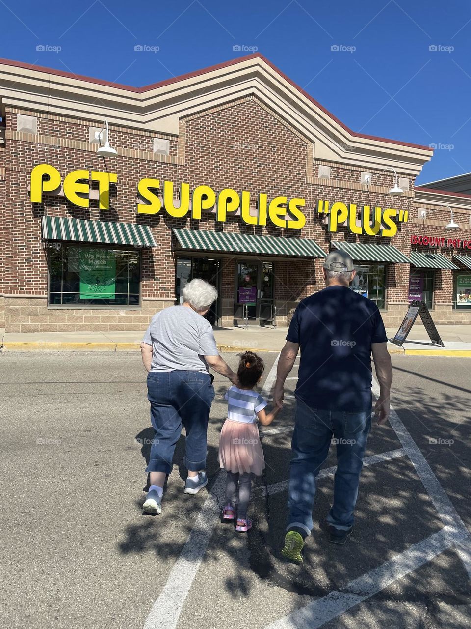 Walking into Pet Supplies Plus with Grandparents, little girl holds grandparents hands, shopping with Grandparents 