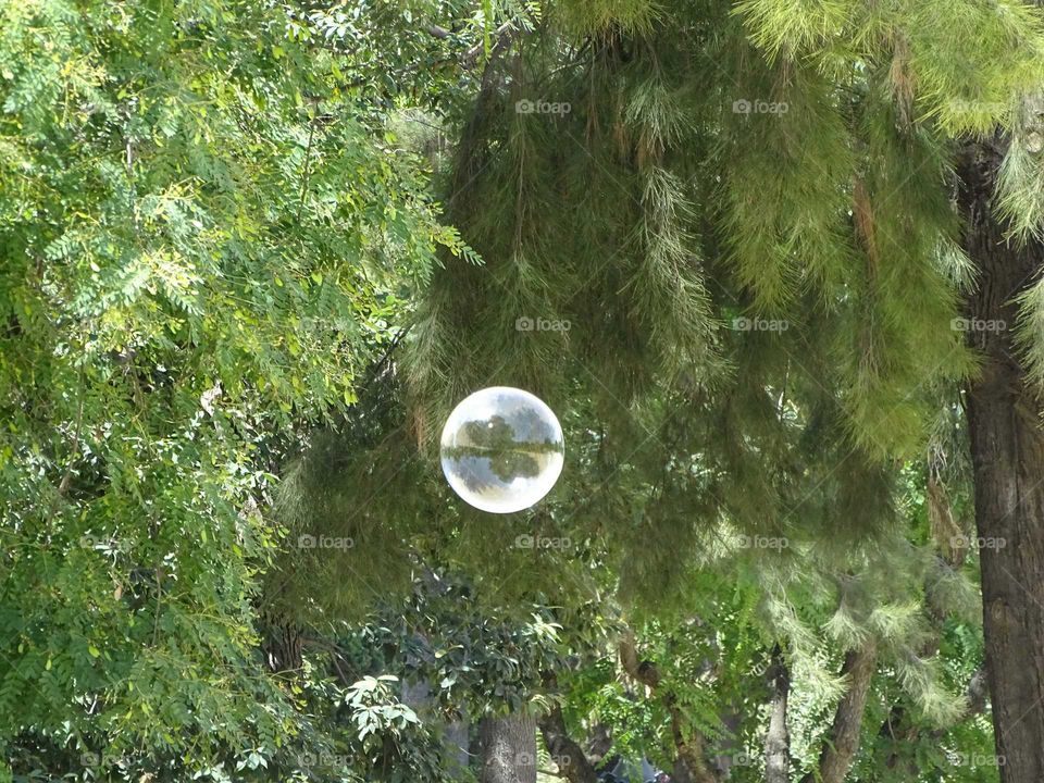 Soap bubble