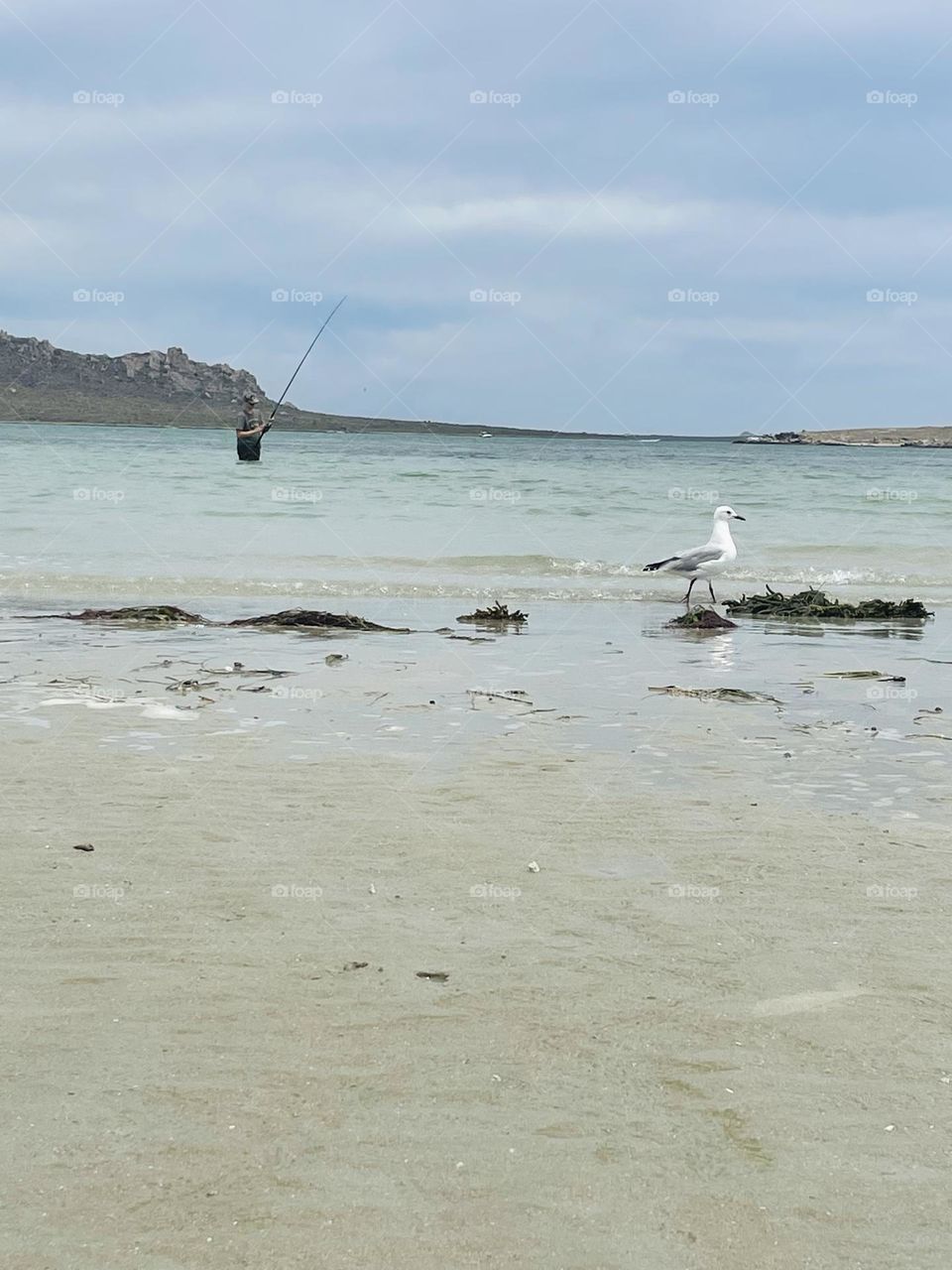 Fisherman and his little bird friend. 