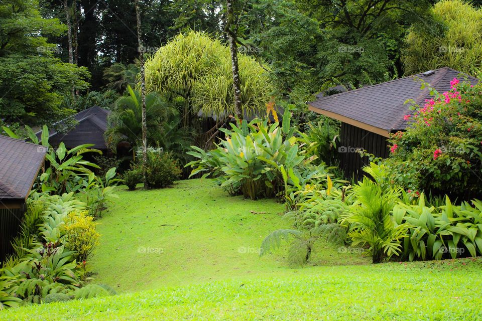 Summer landscape with rich greenery in the tropics.  Costa Rica